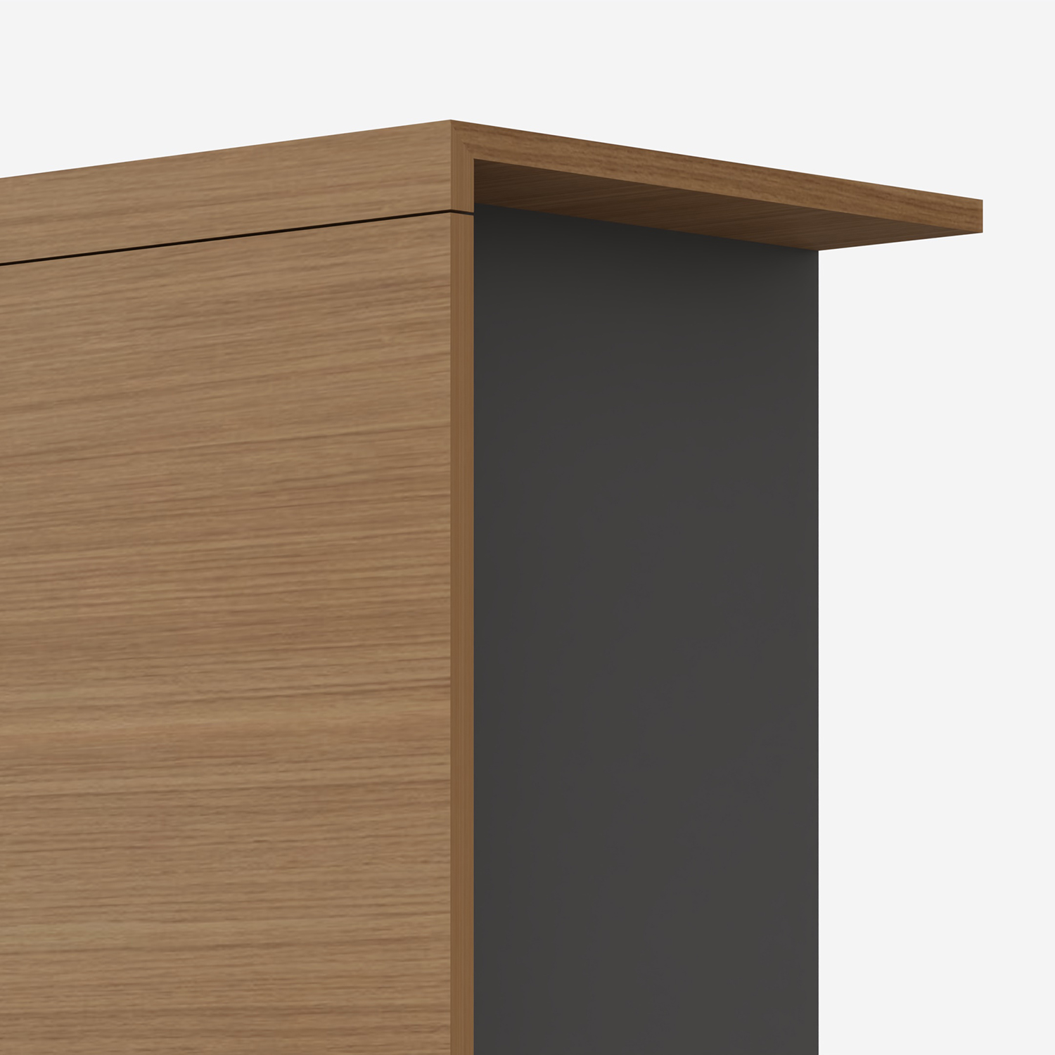 Contenedor Suite: Estilo y Funcionalidad en un Diseño Sofisticado.